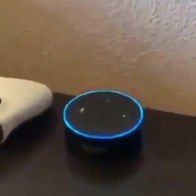 Alexa Fart for me