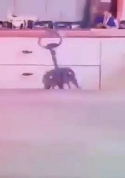 Eu_nvr