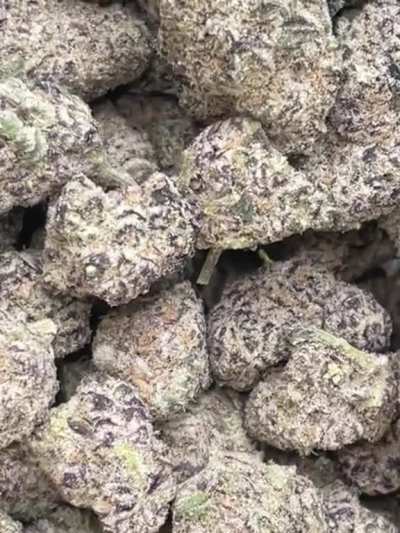 strawberry oreoz🍓🍪 picked up 2 oz for 470, best weed that i&rsquo;ve smoked