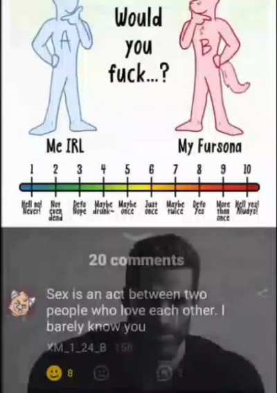 Furry_irl