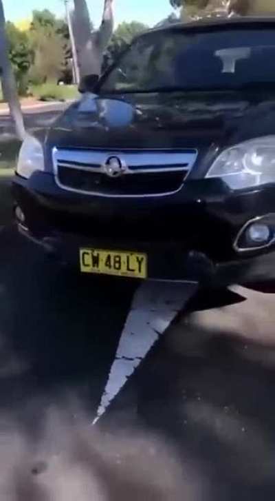 Protestor vs Anti-Protestor takes unexpected twist [NSFW - Language]