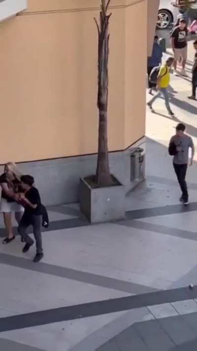 grupo de delincuentes asalto a pareja de ancianos, Vi&ntilde;a del mar.