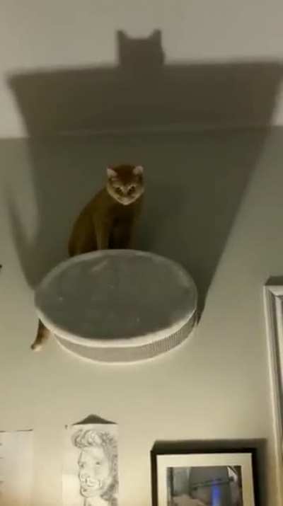 Ele.