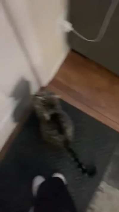 If Shart isn&rsquo;t allowed to go outside, no one is.
