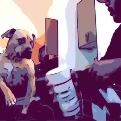 me and my dog discussing what snippets will be on wlr deluxe