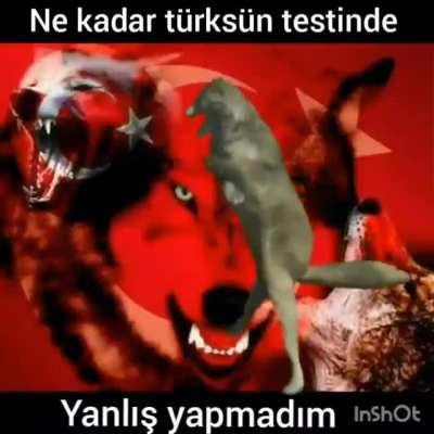 Onedio testi