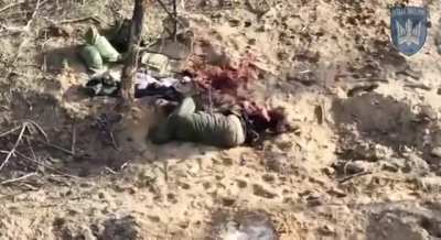 Ukrainian "Birds of Magyar" drone strikes on Russian infantry and positions in Kherson Oblast. Published 12 April 2024 (music from source)