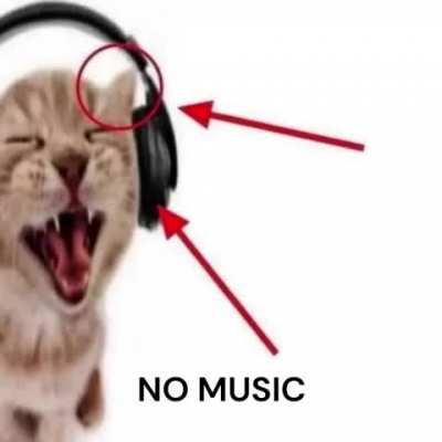System of the wunk