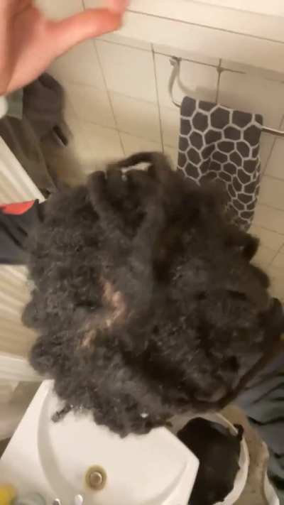 Balding?