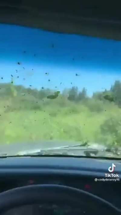 "I Know A Shortcut"