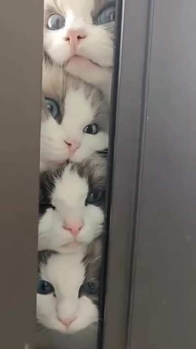 "Oh, what's out there?"