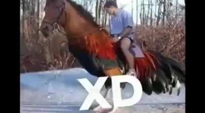 Hora del XD