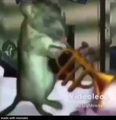 Trumpet solo