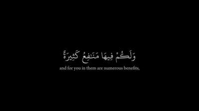 Surat Al-Mu'minun {20-22}