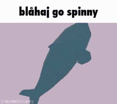 You have been visited by the magic spinning bl&aring;haj