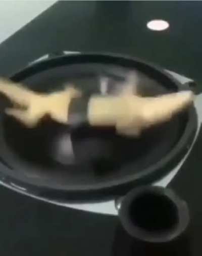 pls help with the name