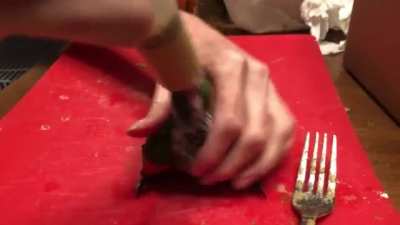 Vibrating birb