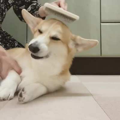 Wait for it
