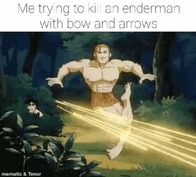 It's annoying when you're tryna shoot the end crystals and your arrow accidentally hits an enderman