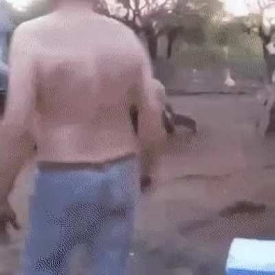 Catch the pig
