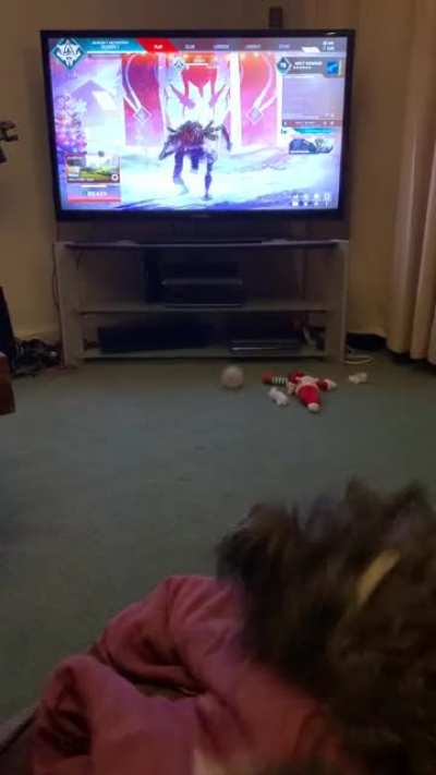 Dog goes after Rev, he does this every time 😂