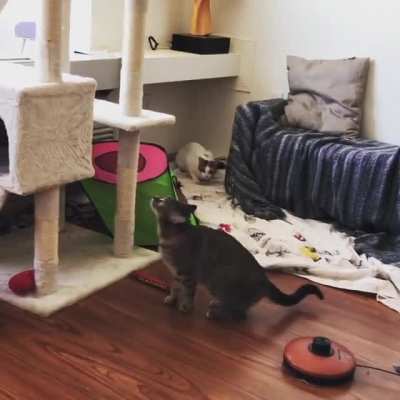 Sneak attack