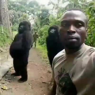 Monke gud
