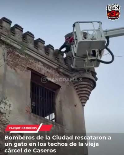 Contin&uacute;an los rescates felinos en todo el pa&iacute;s, esta vez personal de la Estaci&oacute;n II Patricios se desplaz&oacute; a la antigua c&aacute;rcel de Caseros para asistir a un peque&ntilde;o gato en problemas