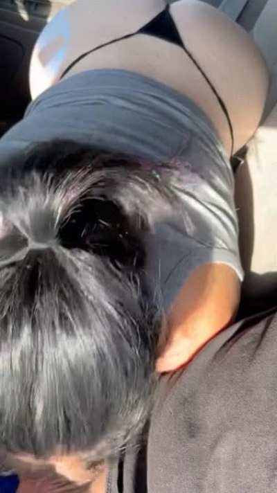 Another satisfied UBER driver