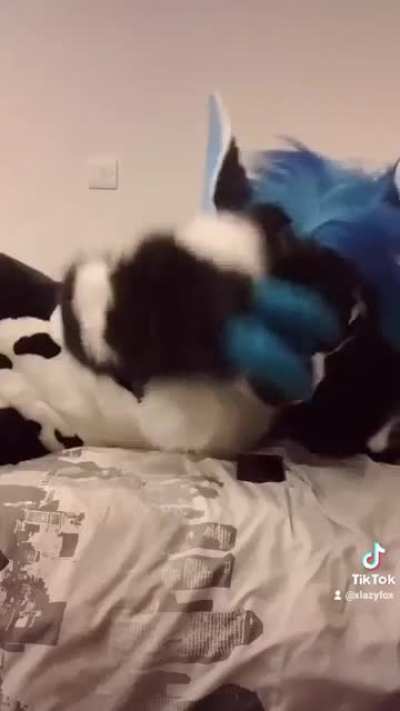 furry😈irl