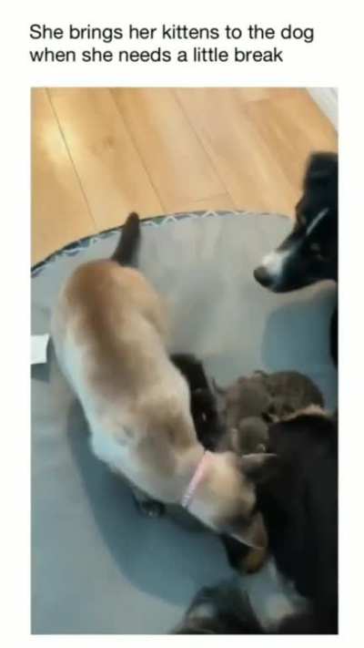 mama needs a break