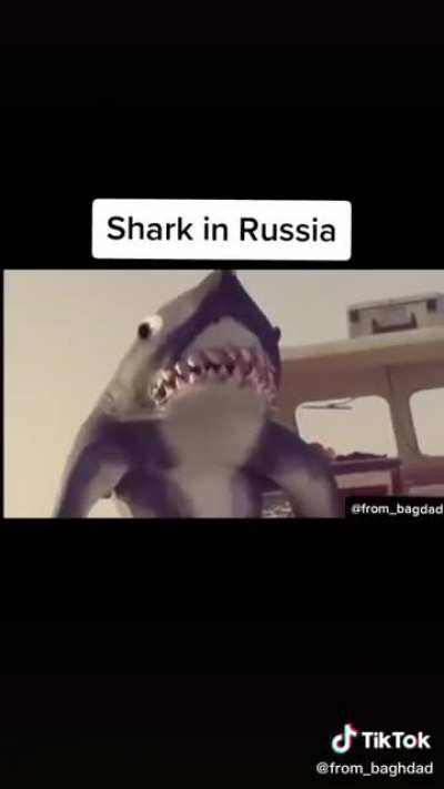 ....
