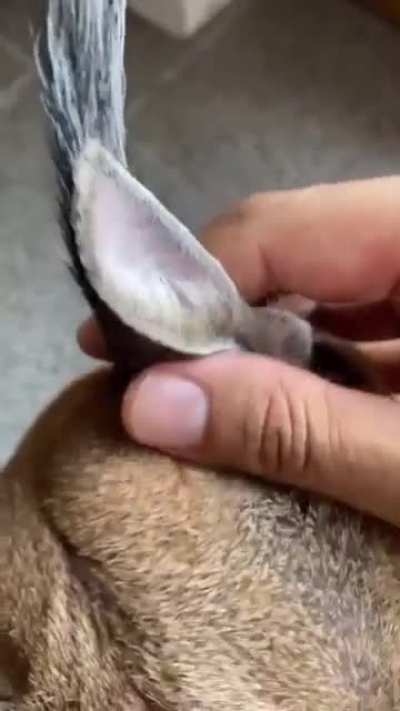 :D