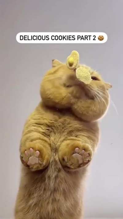 Snack time!