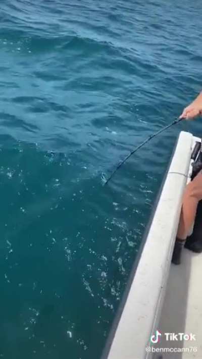 This fish....