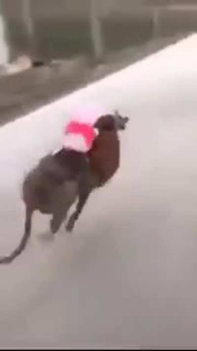Tipo assim ó
