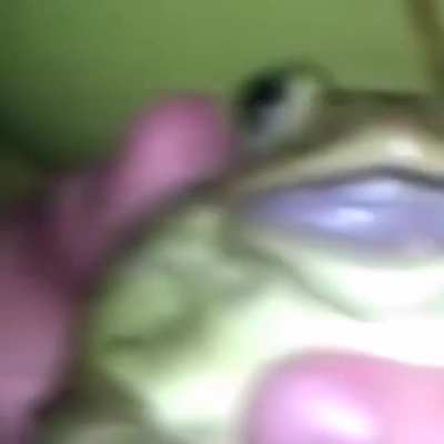 Phrog