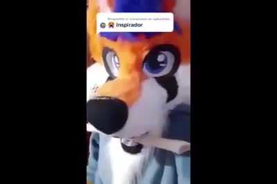 Furros