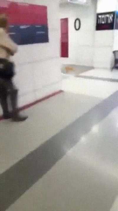 A domestic cat's primal "caracal genes" kick into high gear as it catches a bat inside a shopping mall in Israel, a classic catwoman vs batman episode