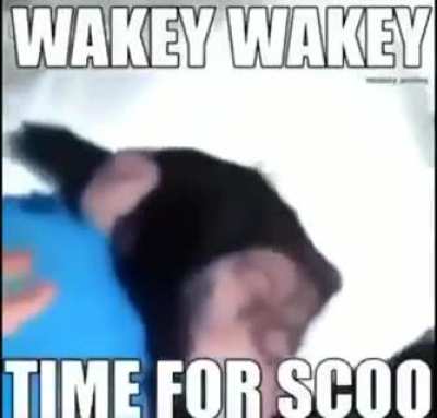 5 minutos más pls 😔🤟