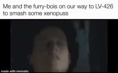 We gonna have some fun