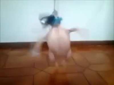 Gangnam style