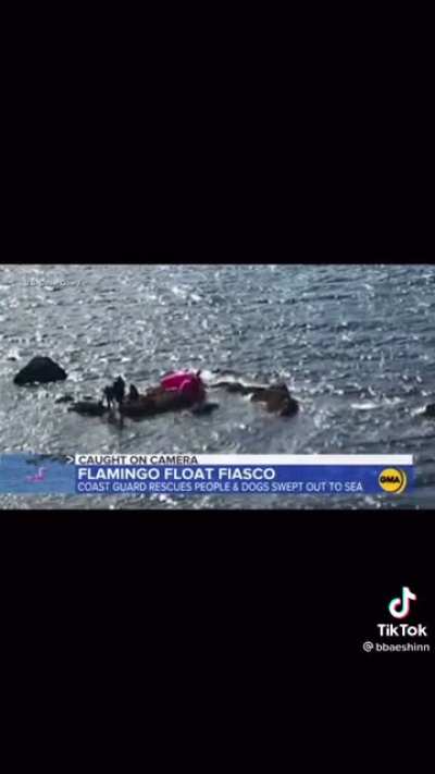 Pink Flamingo Summer Fiasco