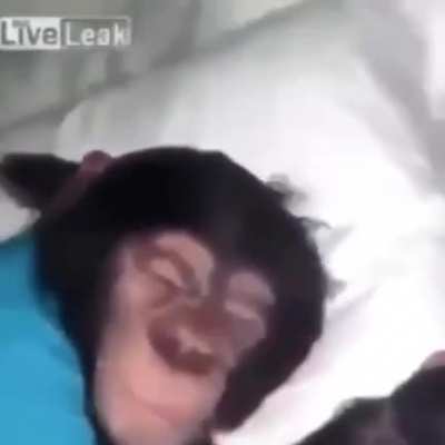 Yo