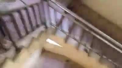 rat video