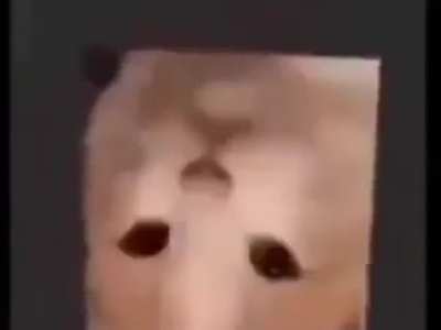 cube