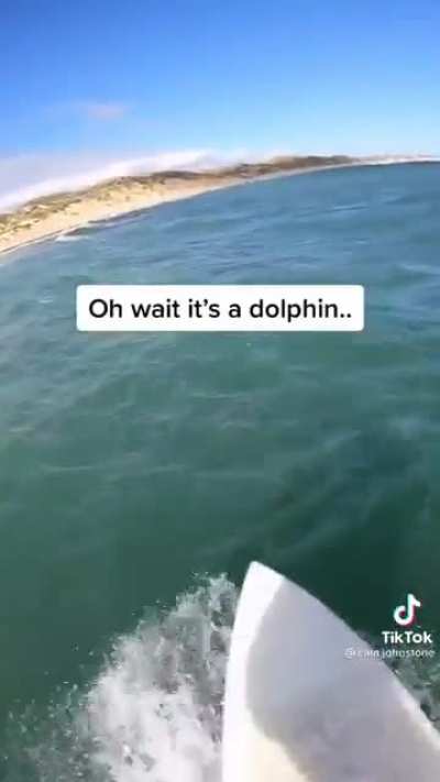 surfing can be dangerous