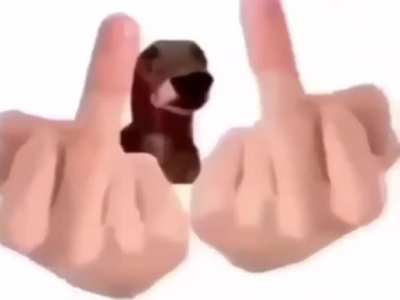 rule