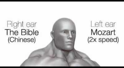 Stfu I'm Brainmaxxing