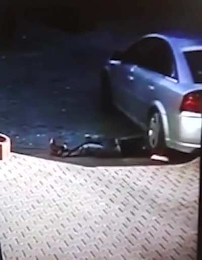 Guy volunteers to be a speed bump